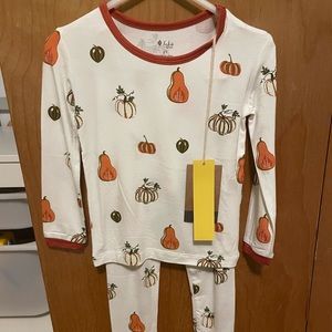 NWT Kyte Baby retired pumpkin print toddler pajamas